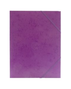 Paper file Carton Purple