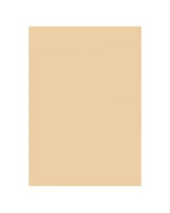 Folia Cardboard 300g 70x100cm 10 Sheets Beige